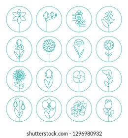 Flowers icons set