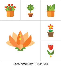 Flowers Icons Set