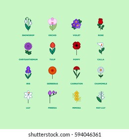 Flowers icons set