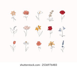 Flowers icons set rose, tulip, bell, camellia, daffodil, daisy, calla, lavender, lily, peony, poppy, wallflower drawing in linear style with black and color on white background