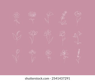 Flowers icons set rose, tulip, bell, camellia, daffodil, daisy, calla, lavender, lily, peony, poppy, wallflower drawing in linear style with white on pink background