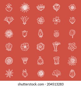 Flowers icons set, vector illustration. 