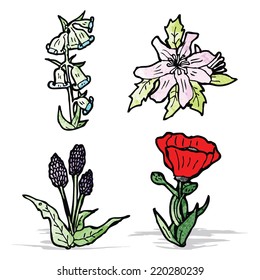 flowers illustration