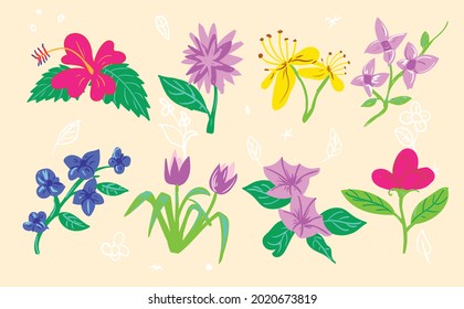 Flowers illustration set vector design, Flower vector, Flower illustration set  