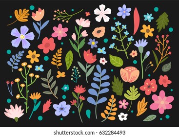 Flowers illustration, vector, floral elements, pattern, graphic design