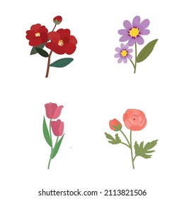 Flowers illustrations set on transparent background