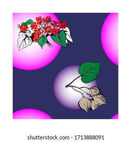 
flores e inflorescencias interminables y sin fisuras