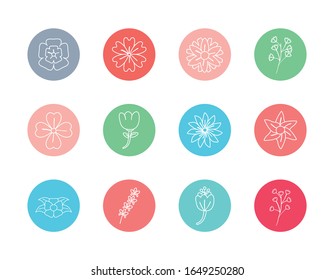 Flowers inside circles line block style icon set design, floral nature plant ornament garden decoration and botany theme Vector illustration