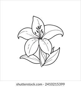 Flowers isolated on transparent background. Flowers in modern simple.