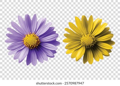 flowers isolated on transparent background