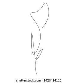 Flowers isolated on white background, continuous line drawing. Vector illustration