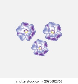 flores aisladas de fondo blanco. vector de ilustración