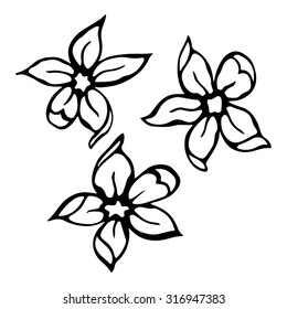 Flowers isolated on white background