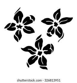 Flowers isolated on white background.