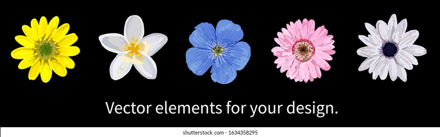 Flowers isolated realistic. Vector flowers. Chamomile, gerbera, blue, pink flowers. Elements for creating postcards and patterns.