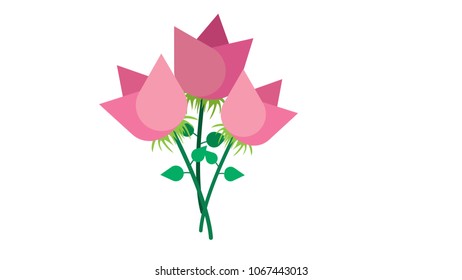 Flowers isolated vector illustration