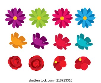 flowers isolated vector illustration