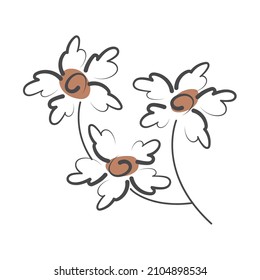 Flowers isolated vector illustration. Line art decorative daisies