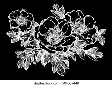 Flowers isolated vector illustration. Template card invitation banner with exotic roses or peony. Botany sketch in linear style. Tattoo design element.
