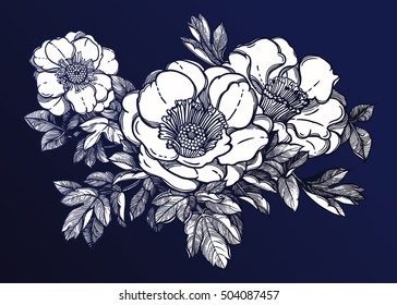 Flowers isolated vector illustration. Template card invitation banner with exotic roses or peony. Botany sketch in linear style. Tattoo design element.
