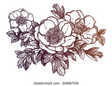 Flowers isolated vector illustration. Template card invitation banner with exotic roses or peony. Botany sketch in linear style. Tattoo design element.
