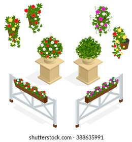 Flowers isometric. Spring and summer. For infographics and design games. 