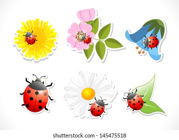 flowers with ladybug on white background, vector illustration, eps 10