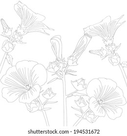 Flowers Lavater in the contours. Graphics.