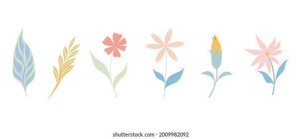 Flowers and leaf collection set 