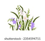 Flowers and leaf decoration. Spring, summer blooms, blossomed freesia plants. Floral branches, stems. Delicate gentle wildflowers decor. Botanical flat vector illustration isolated on white background