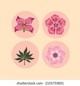 flowers and leaf icon set