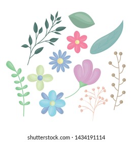 flowers and leafs decoration vector illustration