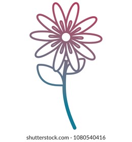 flowers and leafs decorative icon