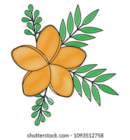 flowers and leafs decoratives