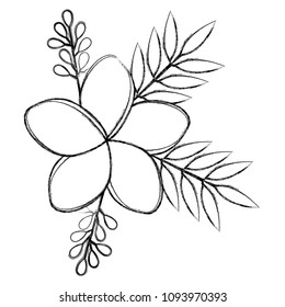 flowers and leafs decoratives