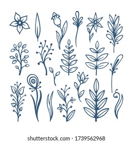 Flowers, leafs and floral design elements sketch drawing collection. Hand drawn floral brushes. Sketch drawing simple plants illustrations. Part of set. 