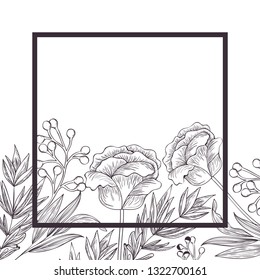 flowers and leafs with frame isolated icon