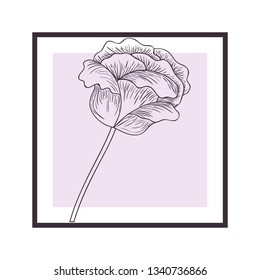 flowers and leafs with frame isolatedicon