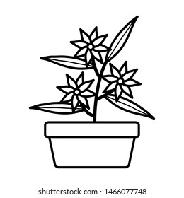 flowers and leafs garden in square ceramic pot decoration