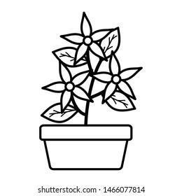flowers and leafs garden in square ceramic pot decoration