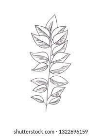flowers and leafs isolated icon