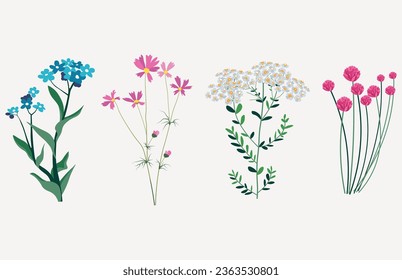 Flowers with leaves, bouquets of flowers. Flowers vector image. Spring art print.