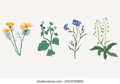 Flowers with leaves, bouquets of flowers. Flowers vector image. Spring art print.