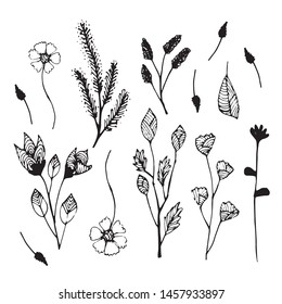 Flowers with leaves with branch and hand drawn, natural set for design,object for decoration