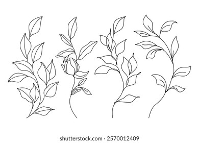 Flowers and Leaves Branch Set Continuous Line Vector Illustration. Botanical Wall Art Hand Drawn Design with Leaves Continuous Line Drawing. Doodle Vector Illustration in Simple Linear Style. Not AI