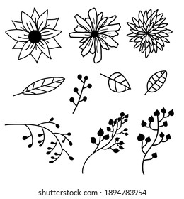 Flores, hojas, ramas para el diseño. Un conjunto vectorial de ilustraciones.