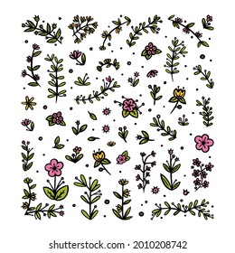 Flowers, leaves and branches elements for ornaments. Decorative floral pattern for various designs. Doodle vector illustration isolated in white background