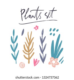 Flowers, leaves and branches vector floral set. Pastel spring and summer bundle. Isolated on white background
