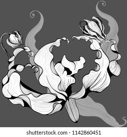 Flowers, leaves and buds of gloriosis. The flower comes from Asia and Africa. Vector linear drawing. Use printed materials, signs, items, websites, maps, posters, postcards, packaging.