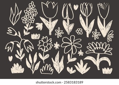 Flowers and leaves chalk drawn set on school blackboard. Summer floral kids elements. Pastel style childish shape. Vector naive pencil illustration on dark background.